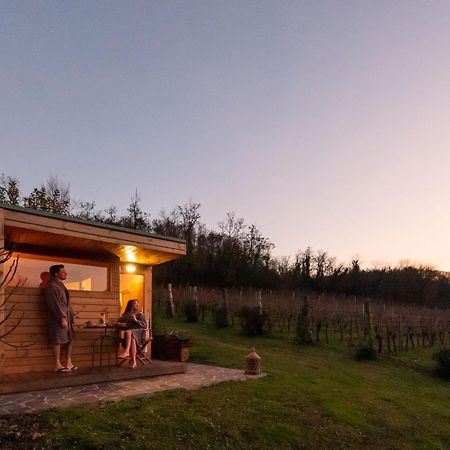 Agriturismo Terre Bianche 테올로 외부 사진