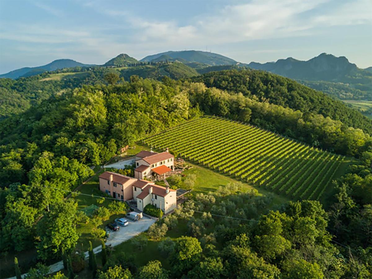 Agriturismo Terre Bianche 테올로 외부 사진