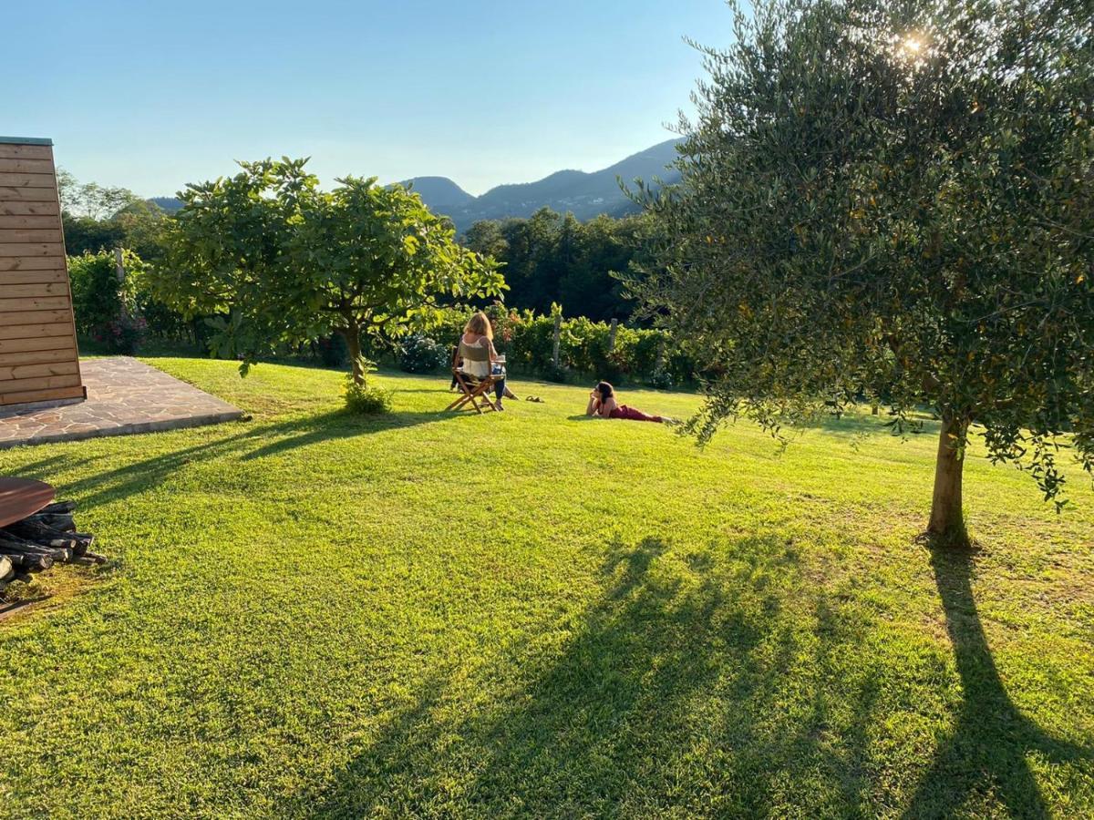 Agriturismo Terre Bianche 테올로 외부 사진