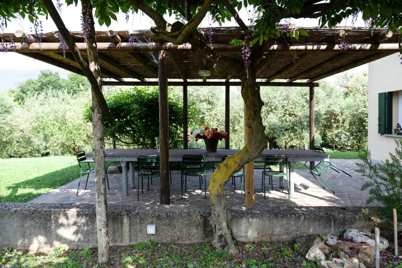 Agriturismo Terre Bianche 테올로 외부 사진