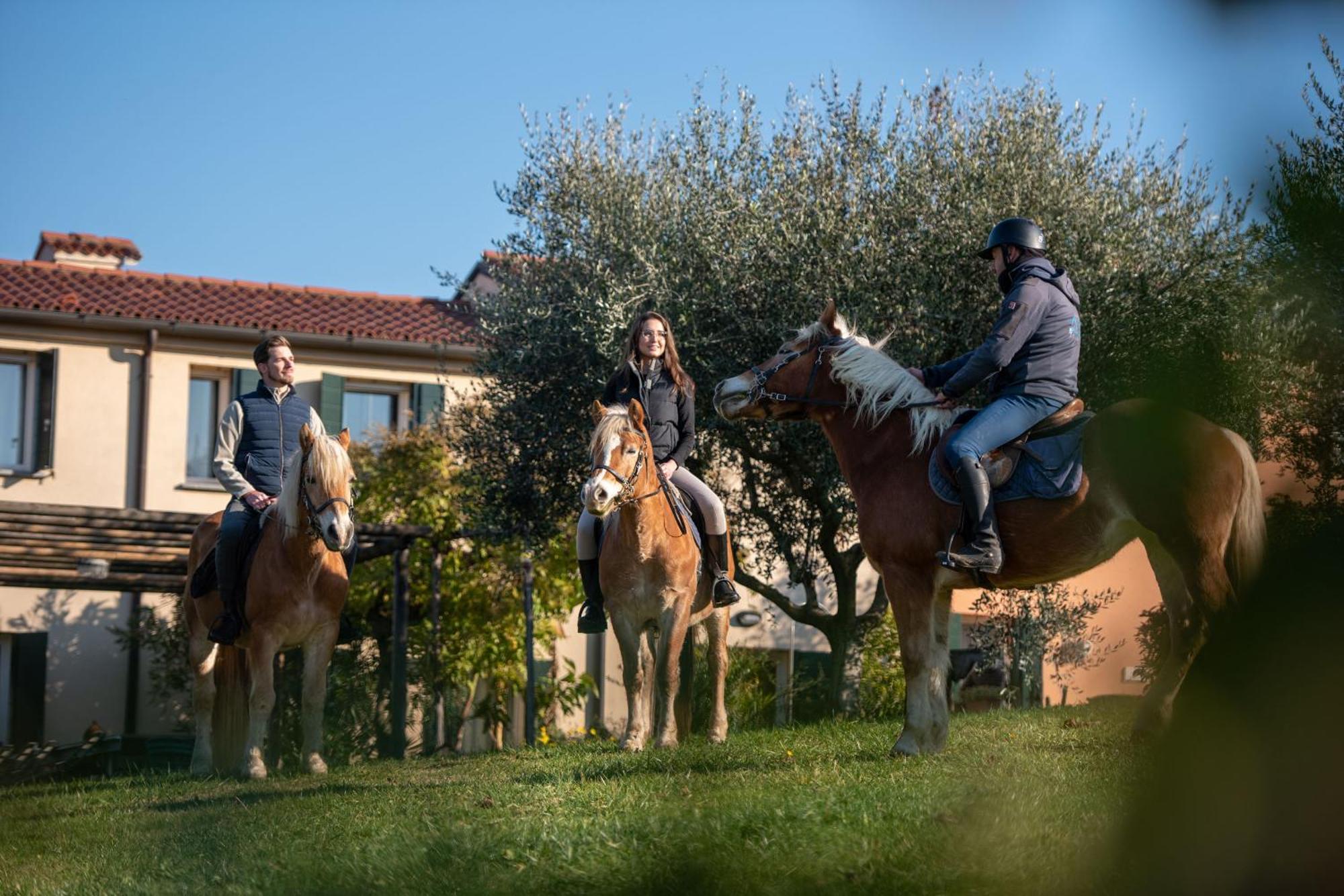 Agriturismo Terre Bianche 테올로 외부 사진